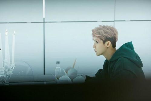 鹿晗爆料视频在线观看网站,揭秘娱乐圈幕后真相  第1张